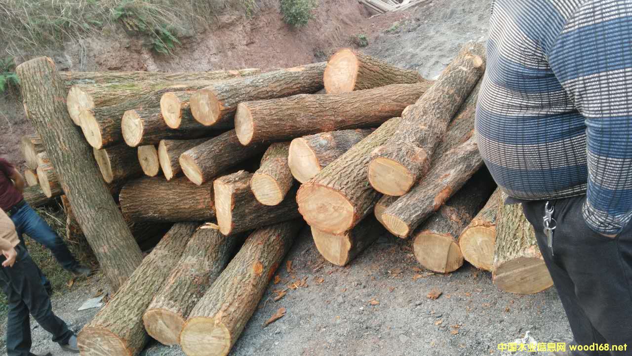 �D������ �c���ɷŴ�