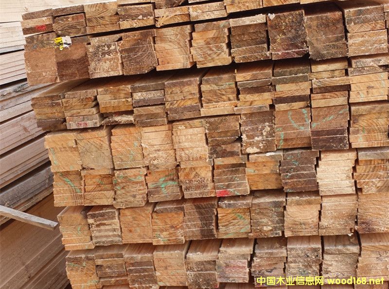 �D��СҎ��  �c���ɷŴ�