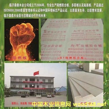 �D���R��ɭ��ľ�I �c���ɷŴ�