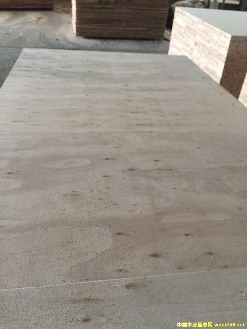 �D���T�װ� �c���ɷŴ�