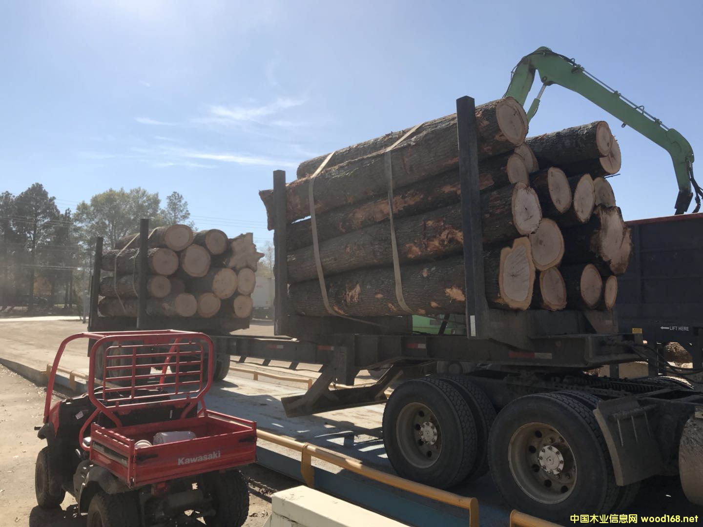 �D���l؛-3 �c���ɷŴ�