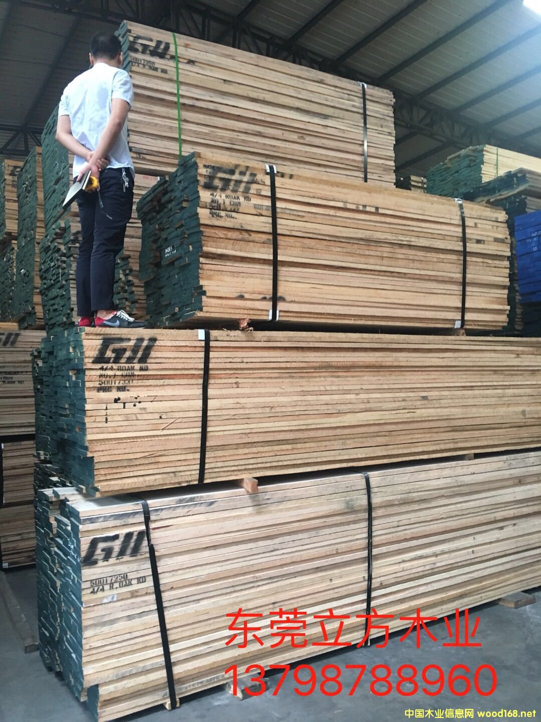 �D��ľ�� �c���ɷŴ�