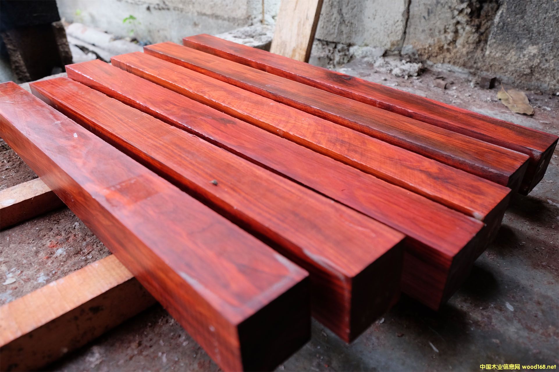 �D��ī����t��ľӆ����Ϟľ�K, �Ա�ɫ�� �c���ɷŴ�