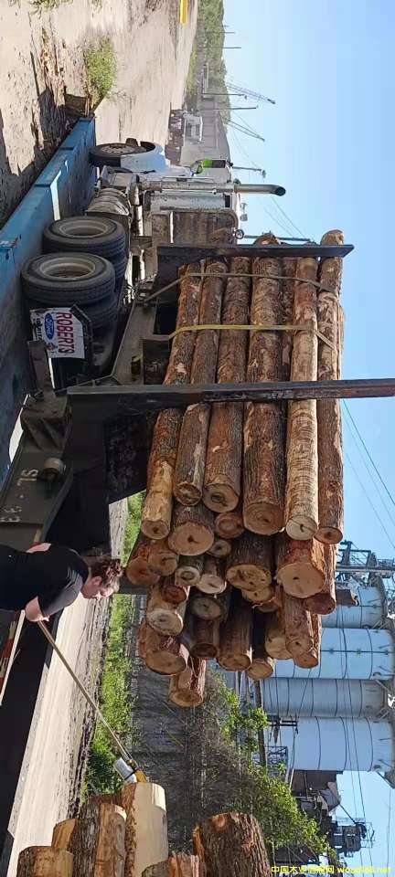 �D������Ӳ�sľԭľ �c���ɷŴ�