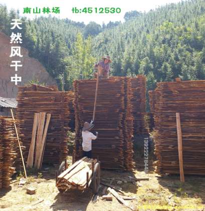 �D���҂��_�ψ�02 �c���ɷŴ�