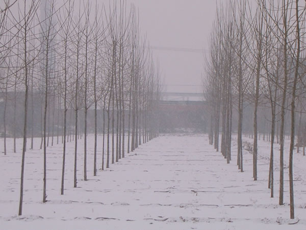 �D�����g�յ�ʹ�� �c���ɷŴ�