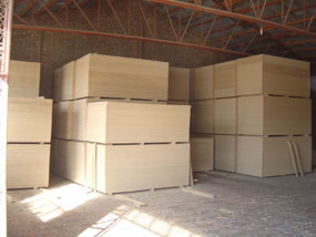 �D���}��һ�� �c���ɷŴ�