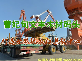 ���������Sľ�Ĵa�^