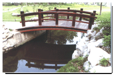 ̿��ľ��Ԕ��(x��)��B