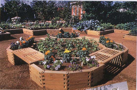 ������ľ��Ԕ����B