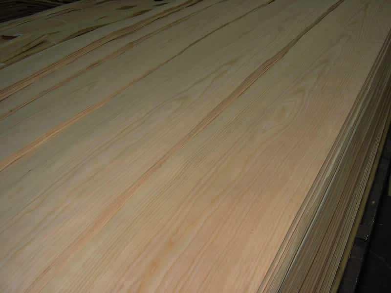 ����ľƤ--�t���ҵ�Ԕ��(x��)��B