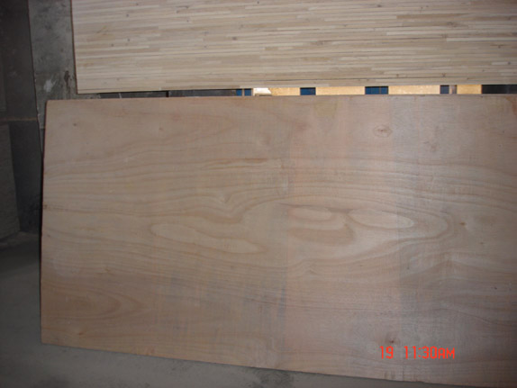 �ߙn��ľ�����Ԕ����B