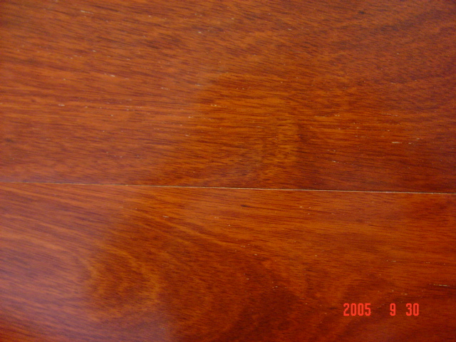 ��ľ����鬵�Ԕ����B