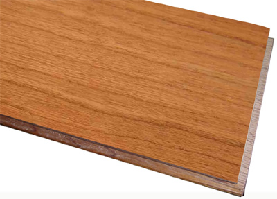 �������Ҷ��ӌ�ľ�ذ��Ԕ����B