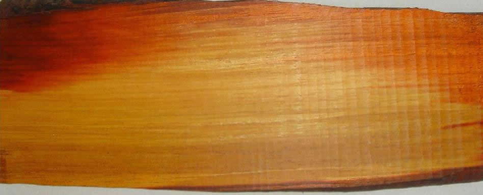 С�~��̴���_12С�r�����Ƭ��Ԕ����B