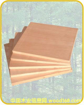 ��(x��)ľ�����Ԕ��(x��)��B