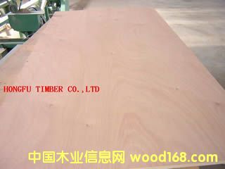 �z�ϰ��Ԕ��(x��)��B