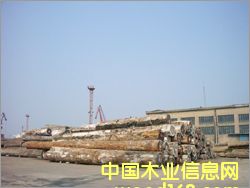 ���޼t�����Ԕ��(x��)��B