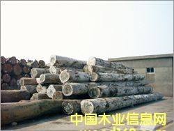 ���޺�̴��Ԕ��(x��)��B