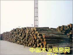 ���_˹���~�ɵ�Ԕ��(x��)��B