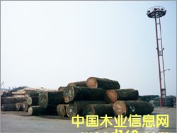 ����ɳ������Ԕ��(x��)��B