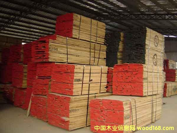 �F؛�������������M�ڼt��ľ,����ľ��