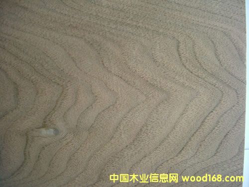 ���Ҙ�Ƥ��Ԕ����B