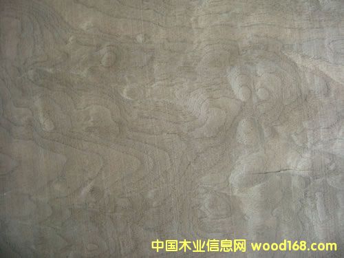 ���Ҙ�Ƥ��Ԕ����B