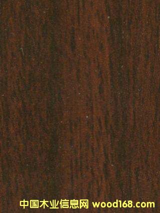 03��ɳ����YDH039��Ԕ����B