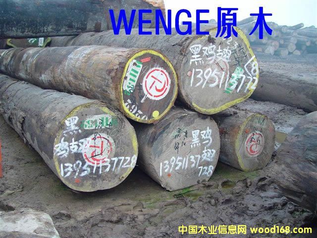 WENGE    �� �u ��   ֧   240m3��Ԕ����B