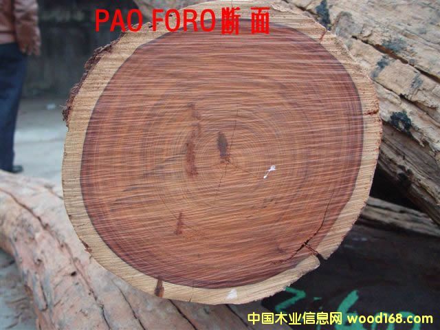 pao rosa       ��t̴��Ԕ����B