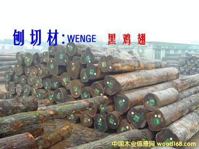 WENGE    �� �u �� 240m3��Ԕ����B