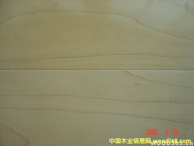 �ӗ���Ԕ����B