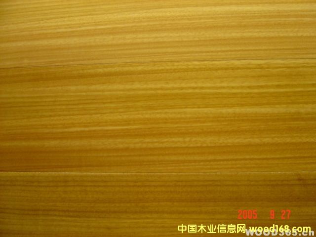 ��ľ����Ԕ����B