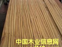 ��֦ľƤ��ֱ�y����Ԕ����B