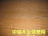 ľƤ��Ԕ����B