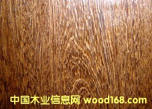 EPϵ���b��N����Ԕ����B