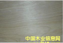 �����z�ϰ��Ԕ����B