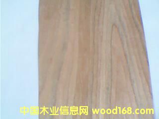 ����ľ6��Ԕ����B