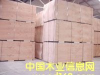 ��ľ�A���Ԕ����B