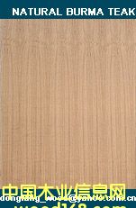 teak plywood��Ԕ��(x��)��B