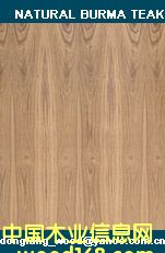 burma teak fancy plywood��Ԕ��(x��)��B