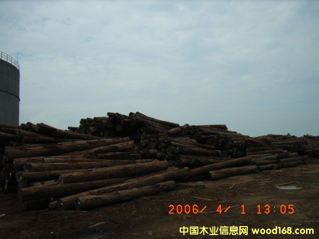 �Ĵ������t��ԭľ��Ԕ����B