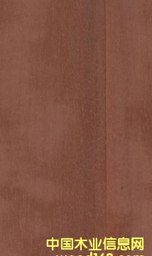 �t��ľ���N��塢��Ƭ���ذ壩