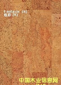 ������ܛľճ�N�ذ�