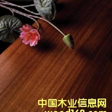 �A�P����ľ�ͺϵذ��Ԕ����B