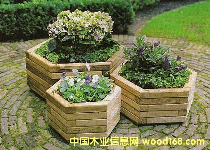 ������Ԕ����B