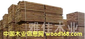 ��ĵ�Ԕ����B