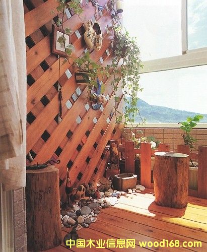 �c���鿴����ľ�Ŵ�DƬ