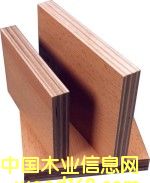 ������Ԕ����B